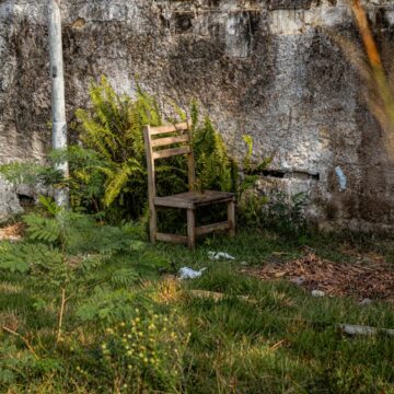 Dlaczego natura lubi miejsca, które człowiek uważa za bałagan Dlaczego natura lubi miejsca, które człowiek uważa za bałagan