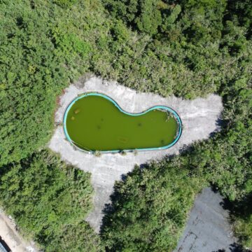 Natura odzyskuje przestrzeń szybciej, niż zwykle sądzimy Natura odzyskuje przestrzeń szybciej, niż zwykle sądzimy